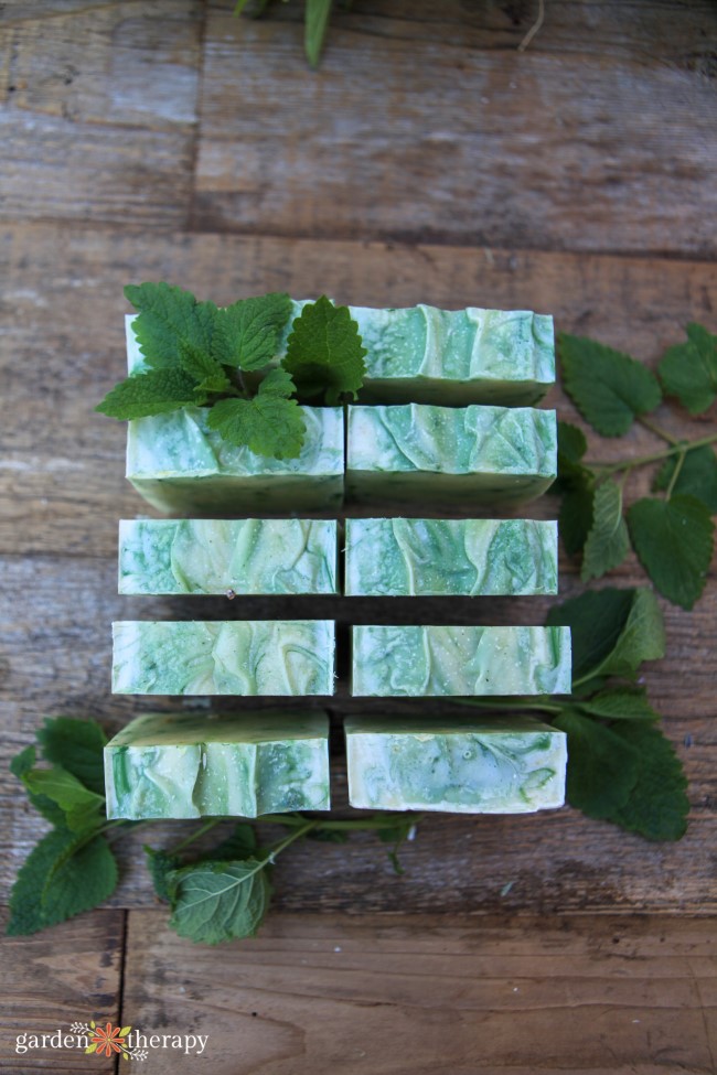 lemon balm soap recipe