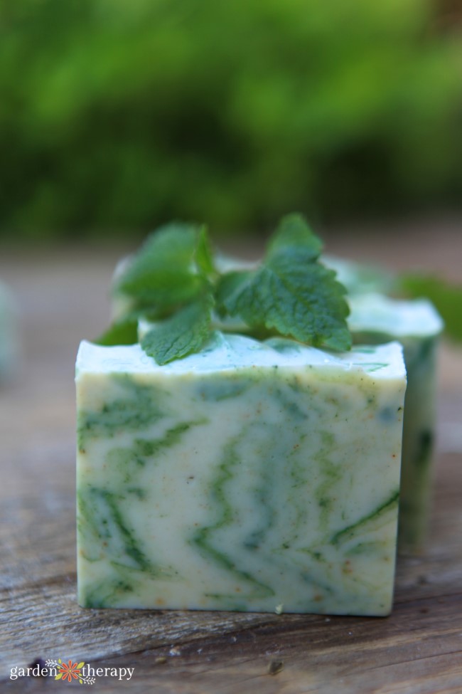 how to make lemon balm infused oil soap