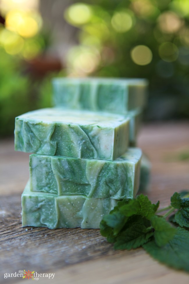 lemon balm cold process soap