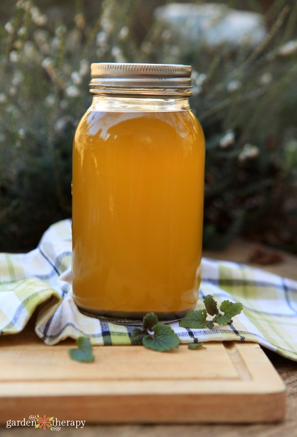 lemon balm herbal oil infusion