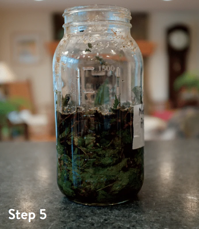 fermented plant juice: a drink only a garden could love