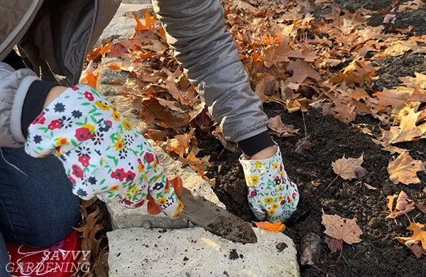 a soil knife digging a hole in a garden