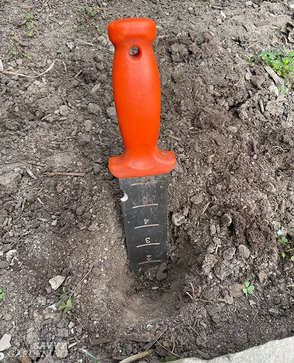 a soil knife measuring depth of a hole dug in a garden