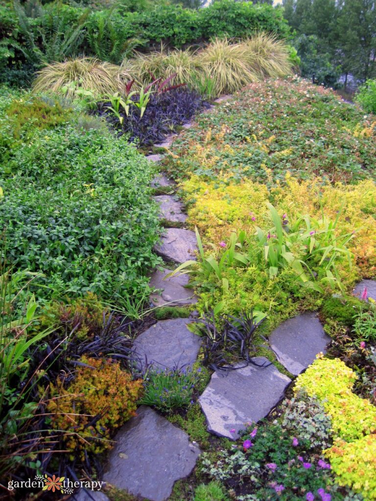 carpet gardening ground covers