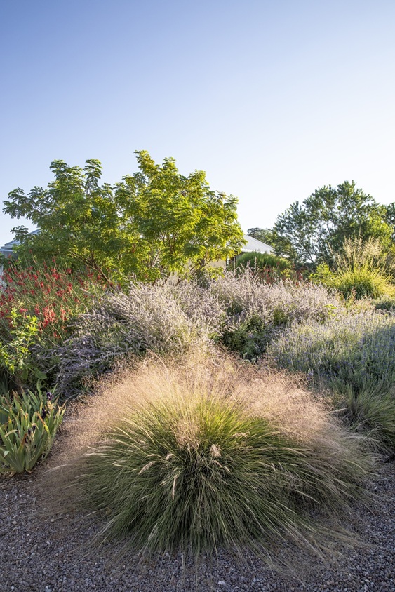 gardens texas gets