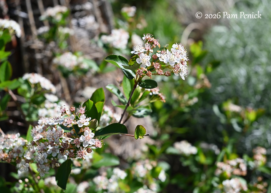 popping by summerhome for a spring visit
