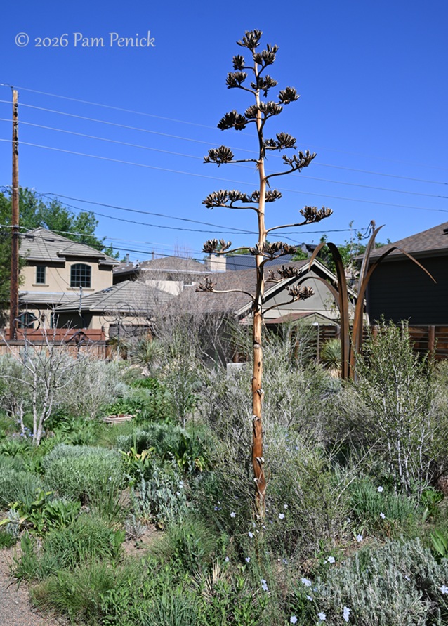 popping by summerhome for a spring visit