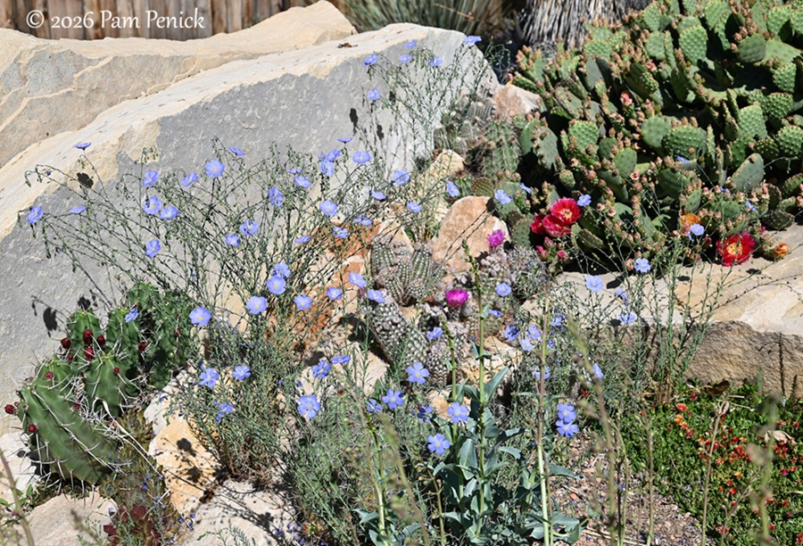 popping by summerhome for a spring visit