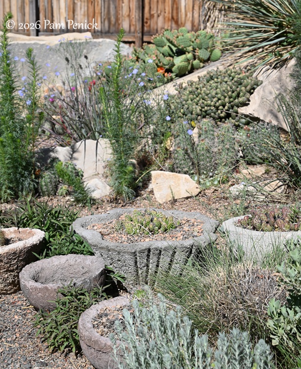 popping by summerhome for a spring visit