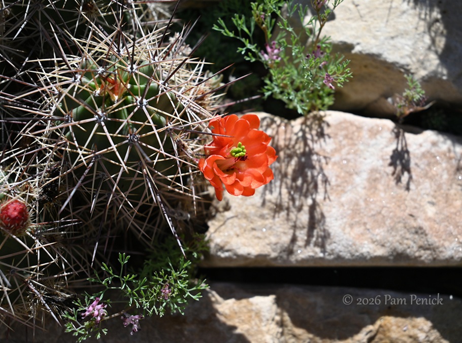 popping by summerhome for a spring visit