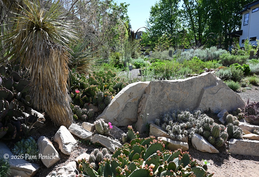 popping by summerhome for a spring visit