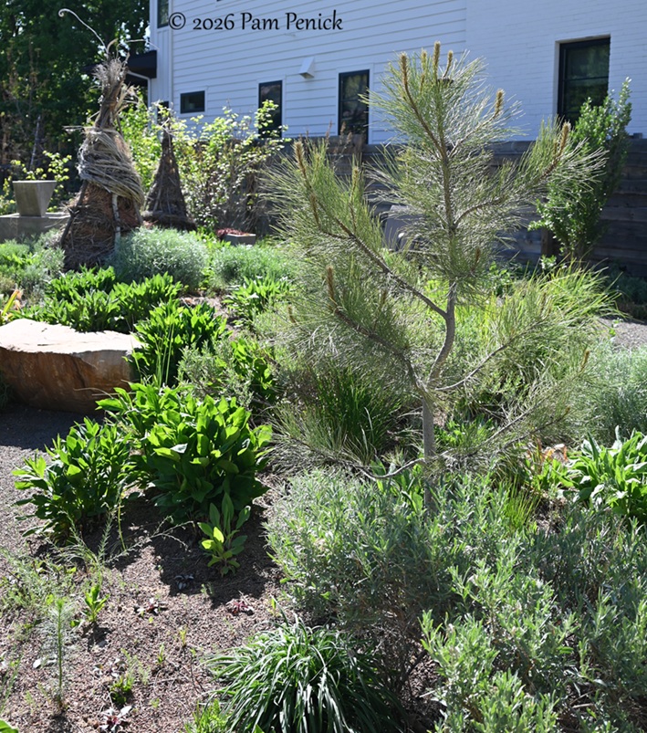 popping by summerhome for a spring visit
