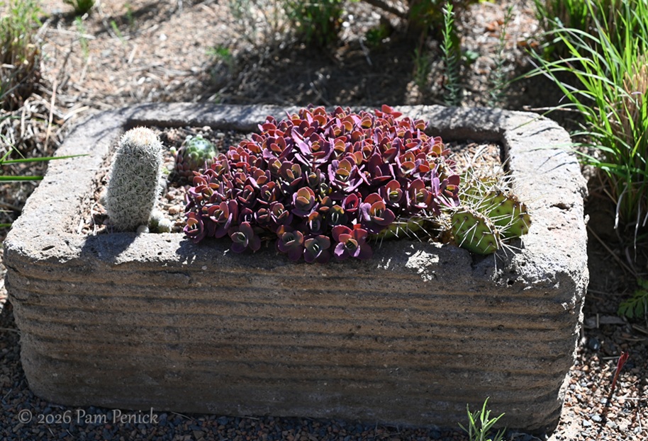 popping by summerhome for a spring visit
