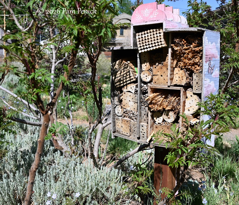 popping by summerhome for a spring visit
