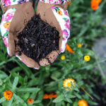 Soil Food: The Best Dirt Cheap Organic Soil Amendments