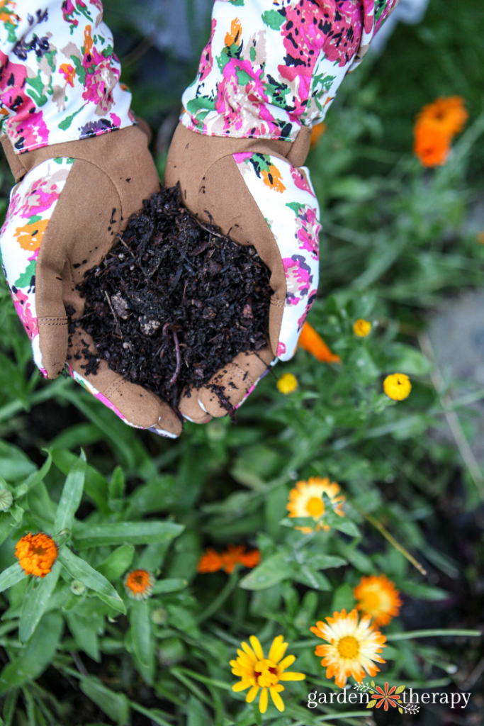 Soil Food: The Best Dirt Cheap Organic Soil Amendments