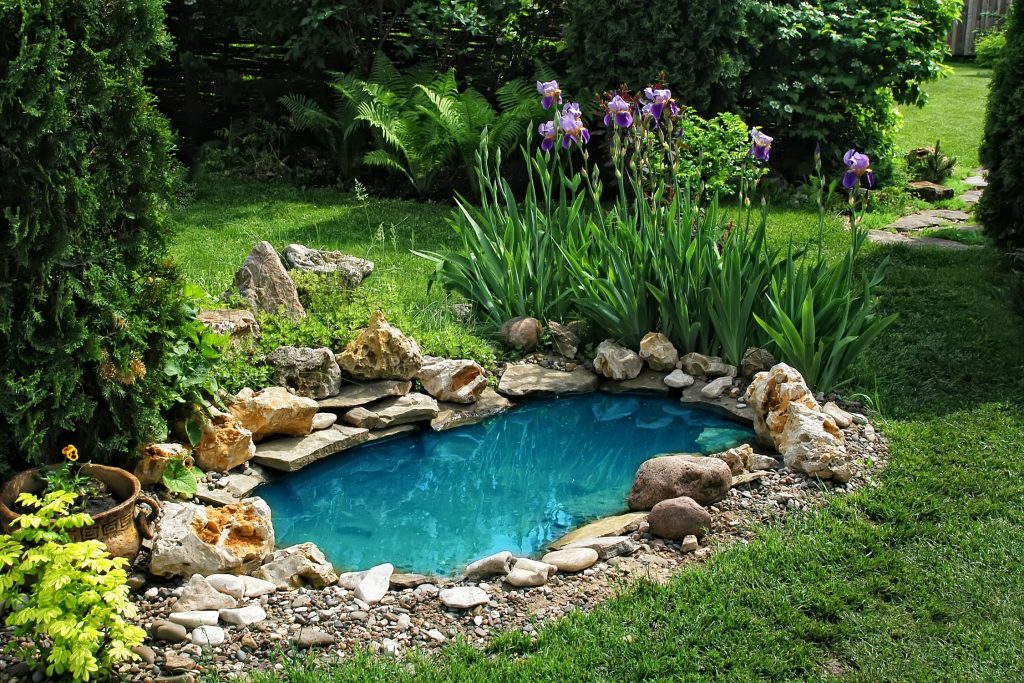 Ecological Benefits of Adding a Pond to Your Garden