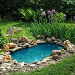 Ecological Benefits of Adding a Pond to Your Garden
