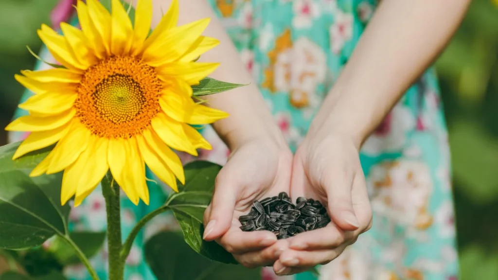 Plant These Seeds Straight in the Ground in May