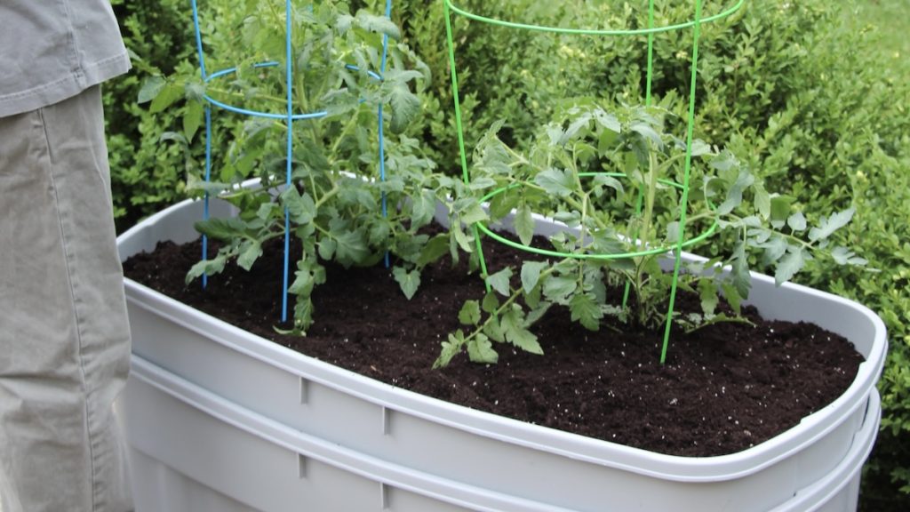 How to Make a DIY Self-Watering Planter: Easy Step-by-Step