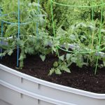 How to Make a DIY Self-Watering Planter: Easy Step-by-Step