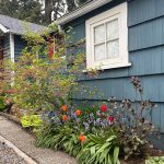 mother and daughter make an old garden new in british columbia