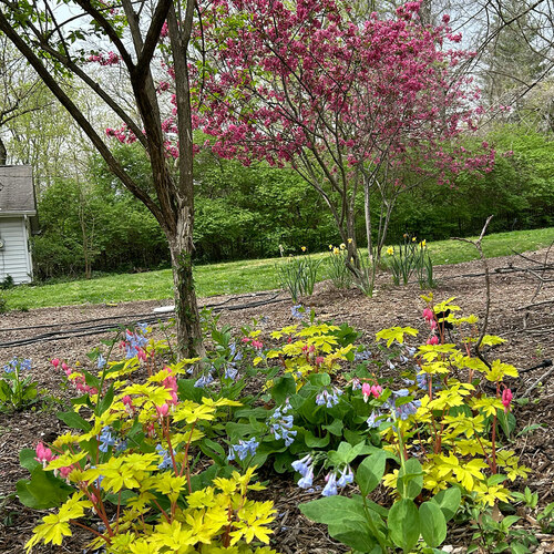 Margaret’s Spring Garden in St. Louis