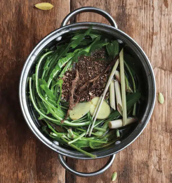 Homemade Dandelion Beer | Chelsea Green Publishing