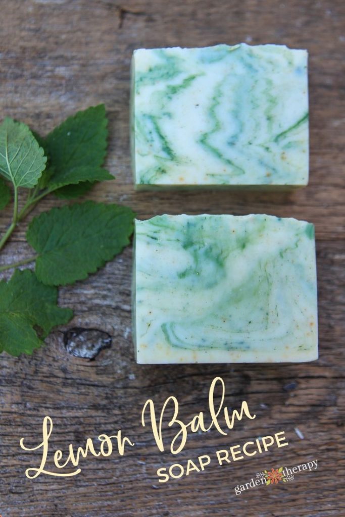 lemon balm cold process soap recipe