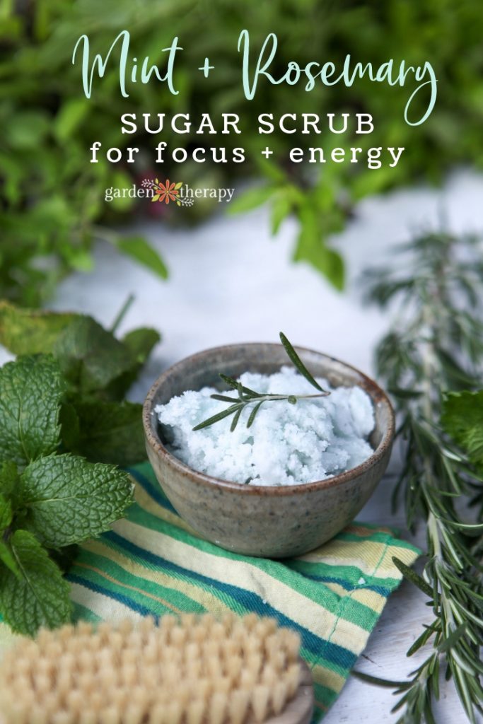 mint rosemary focus sugar scrub