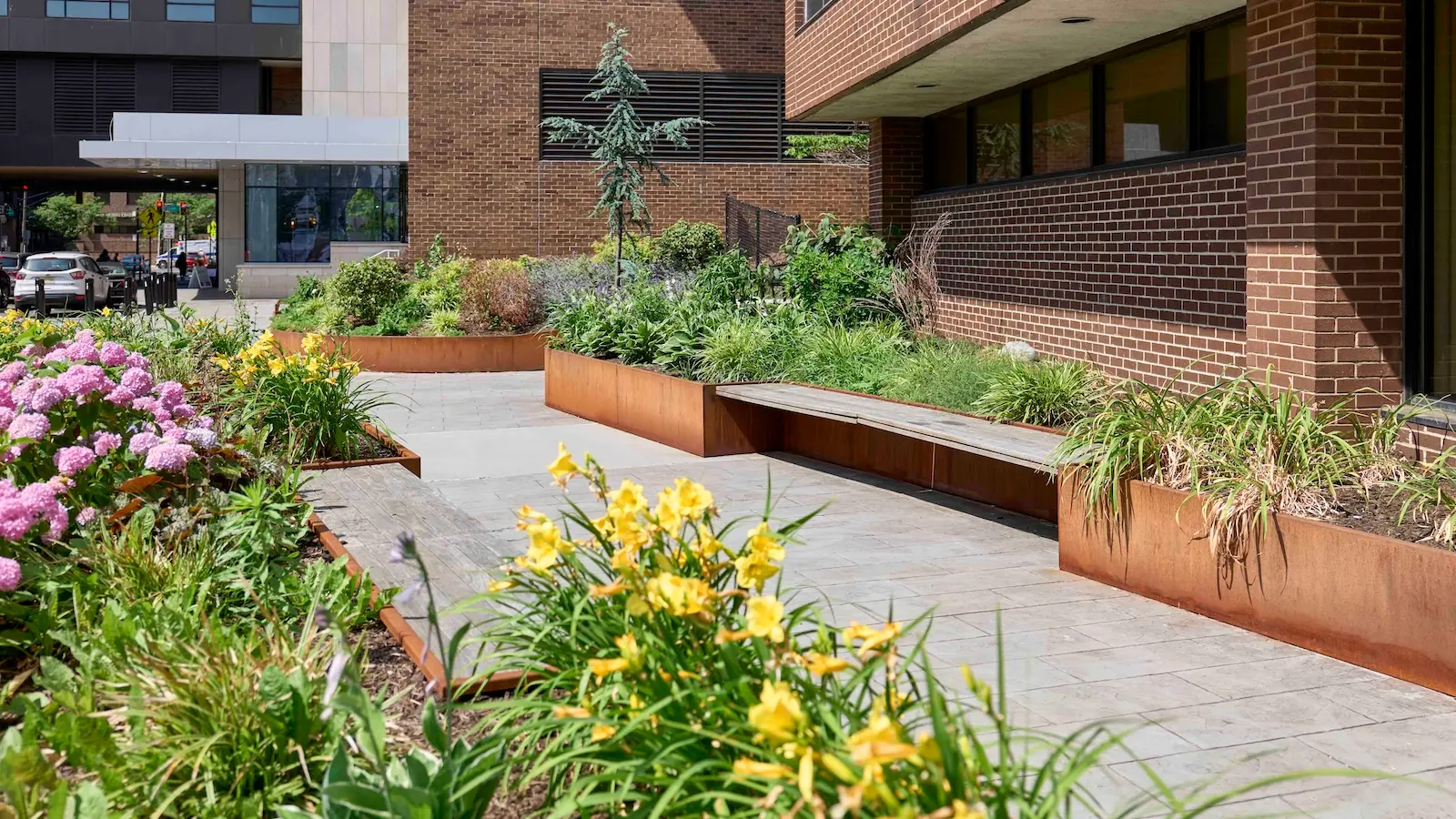 The solution to urban heat is much, much simpler than you think
