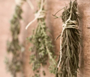 Tips & Tricks for Harvesting and Drying Herbs Tips & Tricks for Harvesting and Drying Herbs