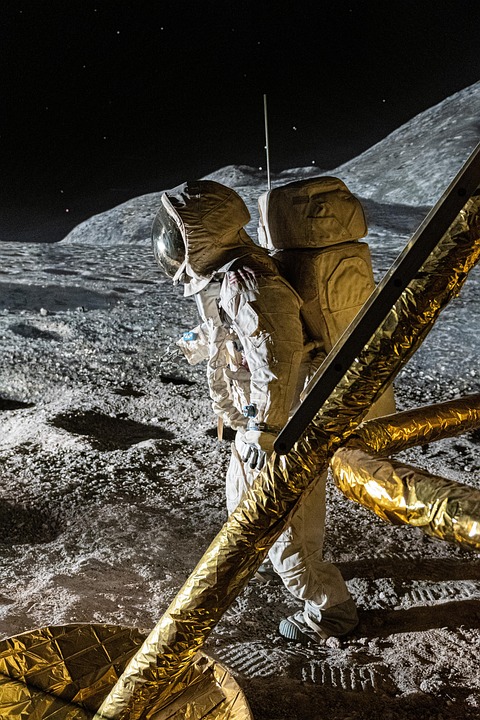 Best Of: Starlit Pathways at Midnight