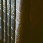 Symbolic Essay on Thorn-Rose Cycles Symbolic Essay on Thorn-Rose Cycles