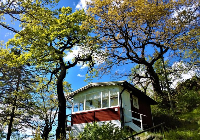 Eco How-To: DIY Skyward Vines