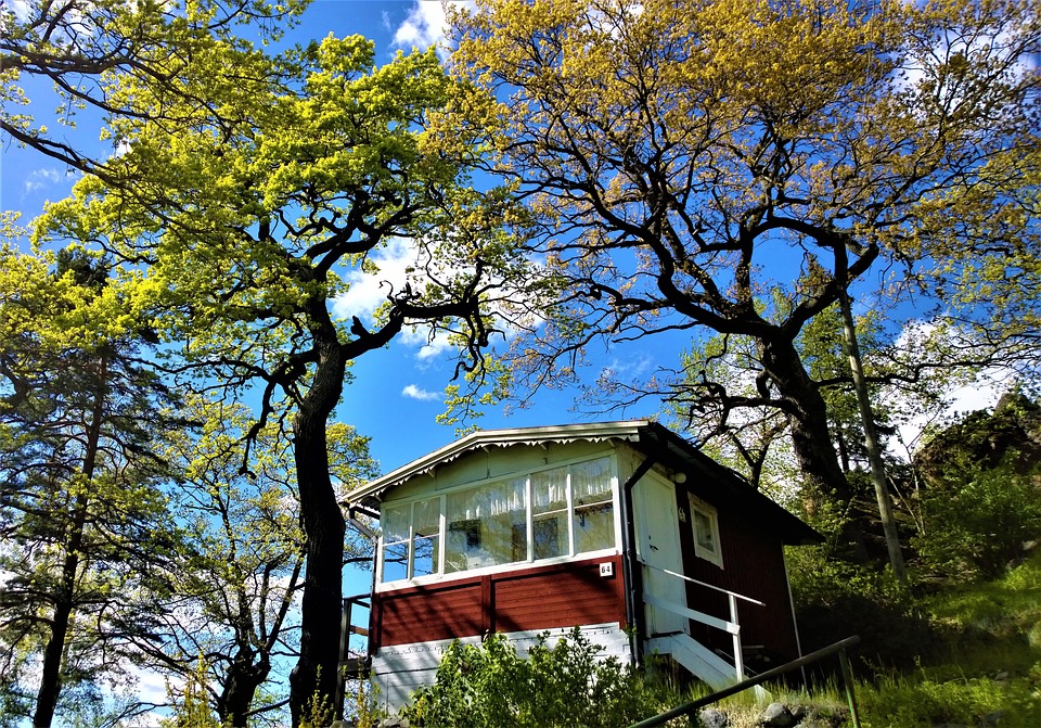 Eco How-To: DIY Skyward Vines