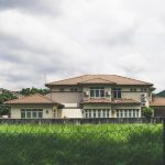 Keeping Your Garden Tidy – Garden Savvy