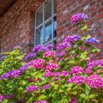 Garden Landscape Ideas for the Front of the House