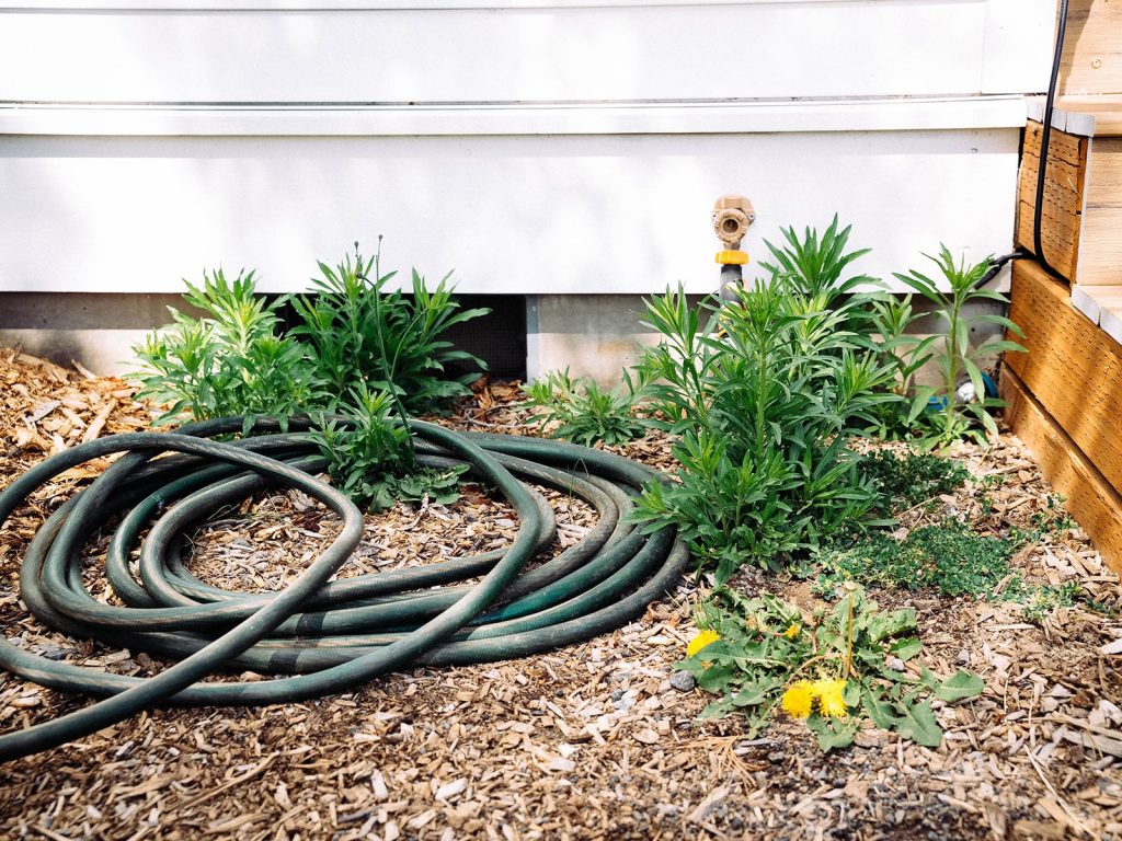 9 Ways to Keep Weeds Out of Your Garden (Without Sprays)