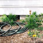 9 Ways to Keep Weeds Out of Your Garden (Without Sprays) 9 Ways to Keep Weeds Out of Your Garden (Without Sprays)