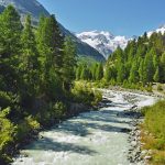 Symbolic Essay: The Mountain’s Crown