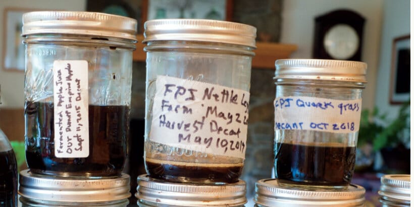 Fermented Plant Juice: A Drink Only a Garden Could Love