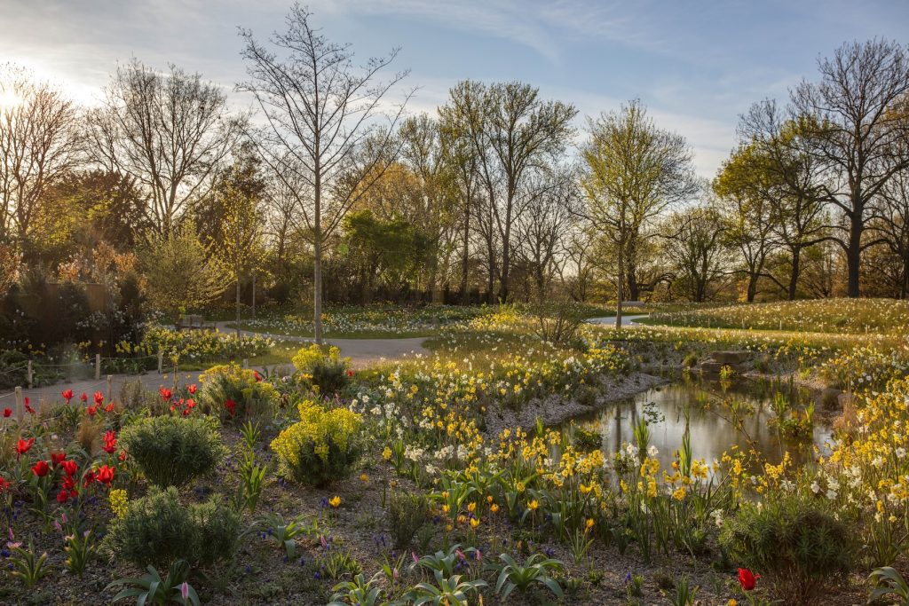 What Would the Queen Think? The New London Garden Named After the Late Queen Elizabeth II