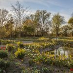 What Would the Queen Think? The New London Garden Named After the Late Queen Elizabeth II