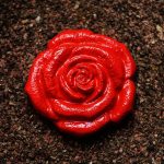 Seasonal Ritual: Dawn Isabela New Moon Blessing