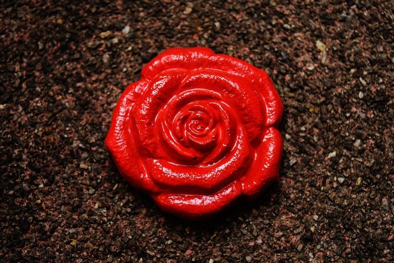 Seasonal Ritual: Dawn Isabela New Moon Blessing