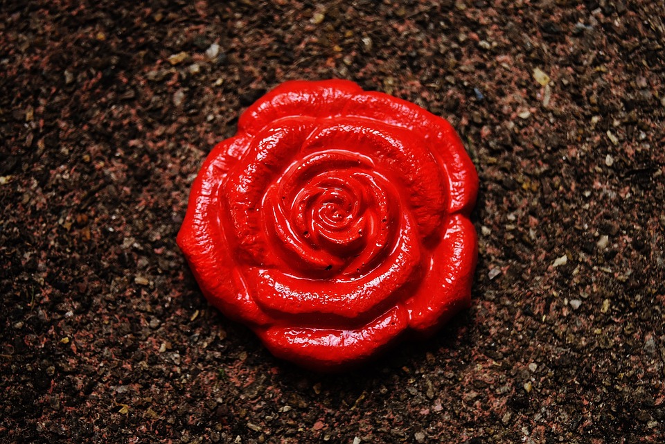 Seasonal Ritual: Dawn Isabela New Moon Blessing