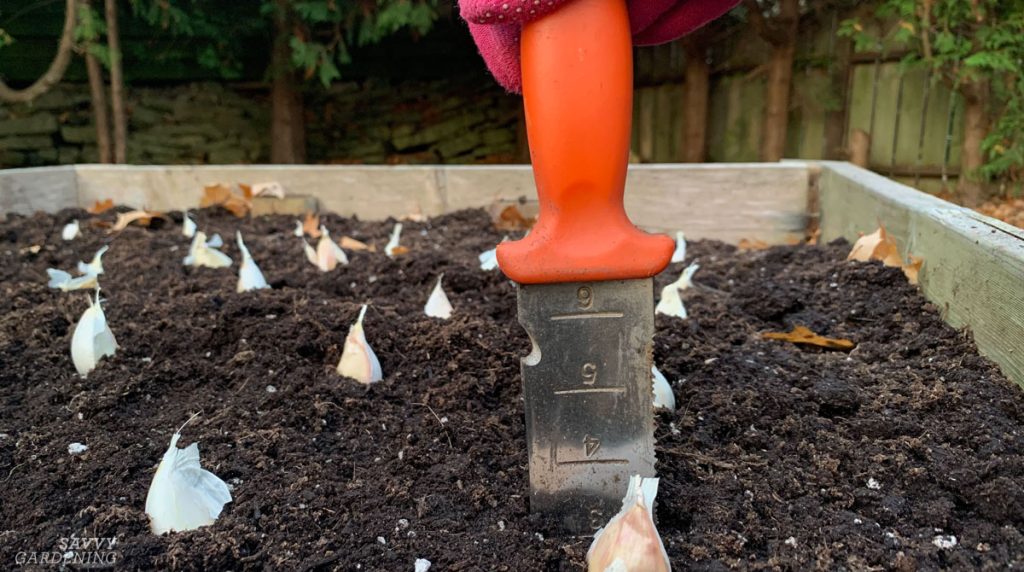 How a soil knife can replace multiple garden tools