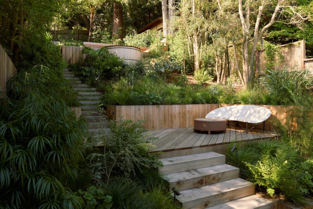 A Steep San Francisco Woodland Garden Reimagined by Talc Studio