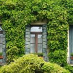 Best Of: Silent Dialogues Between Stones